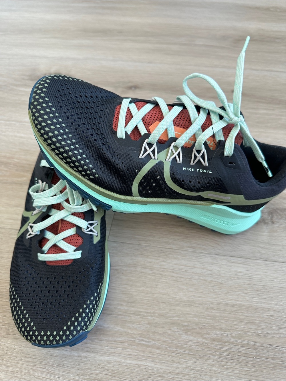 Nike Men's Pegasus Trail 4 Running Shoes NWOB